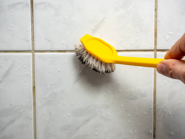 Best Black Mold Removal  in Mccoll, SC