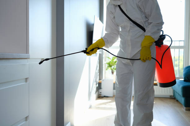 Home Mold Removal in Mccoll, SC